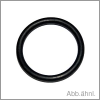 O-Ring Nuovo Falcone